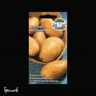 Картофель Ассоль Картофель Ассоль