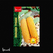 Кукуруза Попкорн Кукуруза Попкорн