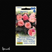 Бегония Нонстоп МОККА лайт пинк шейдс F1 Бегония Нонстоп МОККА лайт пинк шейдс F1