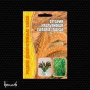 Сетария Итальянская Сетария Итальянская