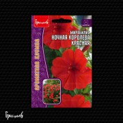 Мирабилис Ночная Королева Красная