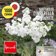 Маттиола Синдерелла Белая Маттиола Синдерелла Белая