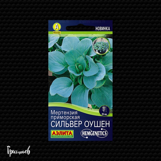Мертензия Сильвер оушен приморская