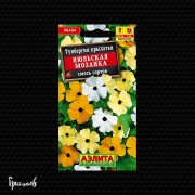 Тунбергия Июльская мозаика смесь окрасок Тунбергия Июльская мозаика смесь окрасок