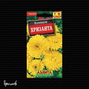 Календула Хризанта Календула Хризанта