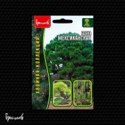 Сосна Мексиканская Сосна Мексиканская