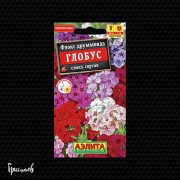 Флокс Глобус