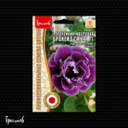 Глоксиния Брокейд Синяя F1 махровая Глоксиния Брокейд Синяя F1 махровая