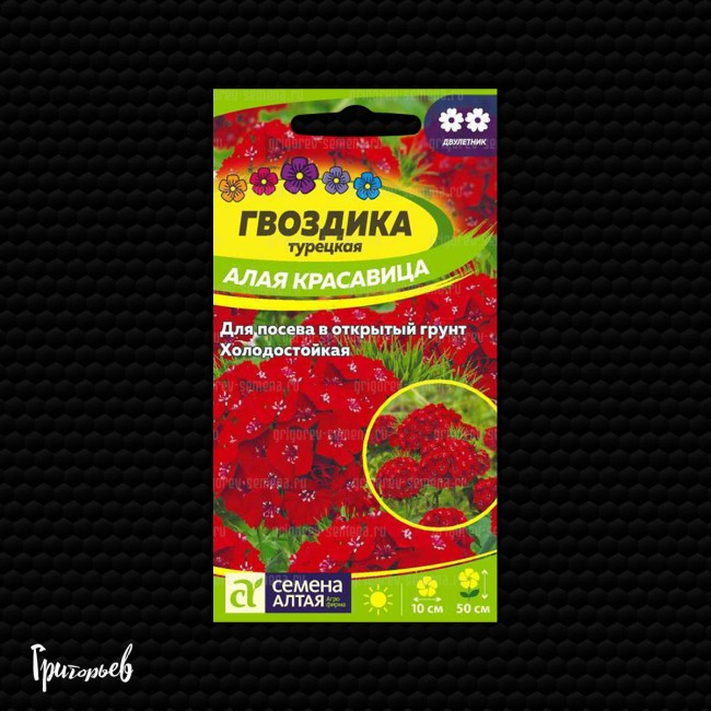 Гвоздика Алая красавица турецкая