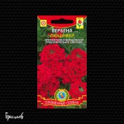 Вербена Люцифер Вербена Люцифер