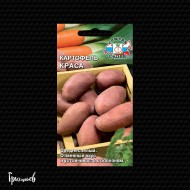 Картофель Краса Картофель Краса