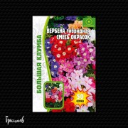 Вербена Смесь Окрасок гибридная