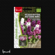 Маттиола Кустовая Микс махровая