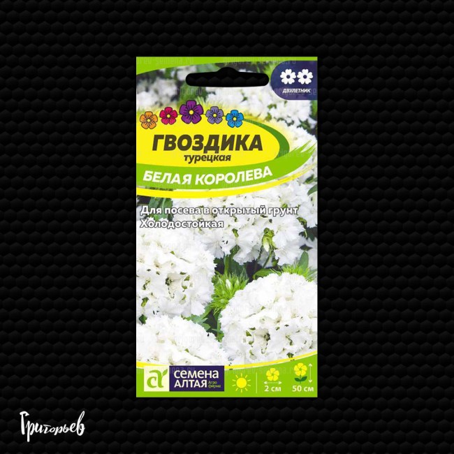 Гвоздика Белая королева турецкая