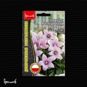 Платикодон Розовый крупноцветковый