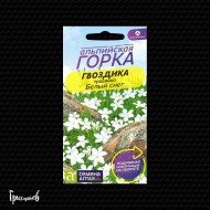 Гвоздика Белый снег травянка