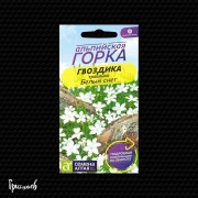 Гвоздика Белый снег травянка