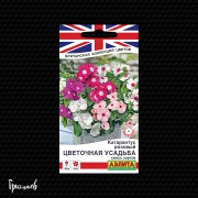 Катарантус Цветочная усадьба розовый