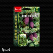 Ель Новая Шотландия чёрная