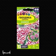 Гвоздика Княжна турецкая