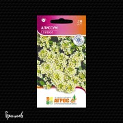 Алиссум Сливки