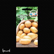 Картофель Триумф Картофель Триумф