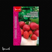 Земляника Прима Круглая крупноплодная