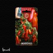Томат Жигало Томат Жигало