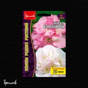 Гибискус Изменчивый (ВП 20 шт.) Гибискус Изменчивый (ВП 20 шт.)