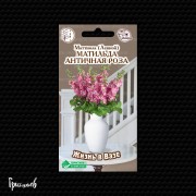 Маттиола Матильда античная роза Маттиола Матильда античная роза