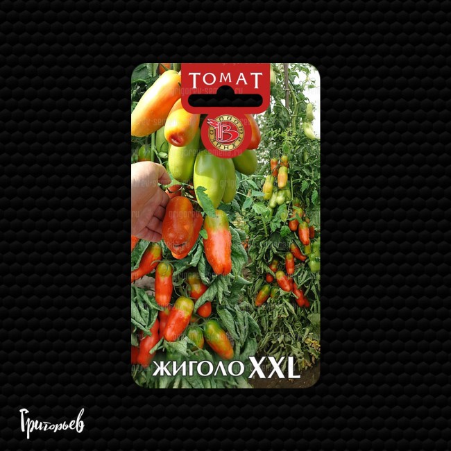 Томат Жигало XXL