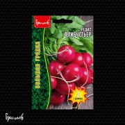 Редис Флибустьер Редис Флибустьер