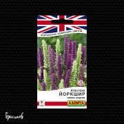 Агастахе Йоркшир смесь сортов