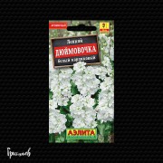 Левкой Дюймовочка белый карликовый Левкой Дюймовочка белый карликовый