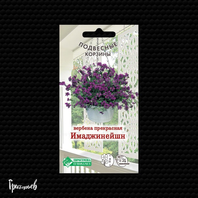 Вербена Имаджинейшен прекрасная