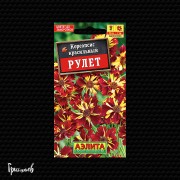 Кореопсис Рулет Кореопсис Рулет