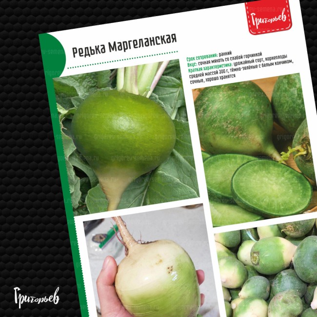 Редька Маргеланская 3 г