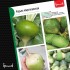 Редька Маргеланская 3 г