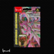 Нандина Домашняя Нандина Домашняя