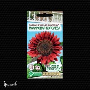 Подсолнечник Малиновая королева декоративный Подсолнечник Малиновая королева декоративный