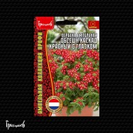 Вербена Обсешн Каскад Красный с Глазком ампельная