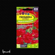 Гвоздика Леди в красном гренадин