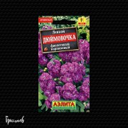 Левкой Дюймовочка фиолетовый карликовый Левкой Дюймовочка фиолетовый карликовый