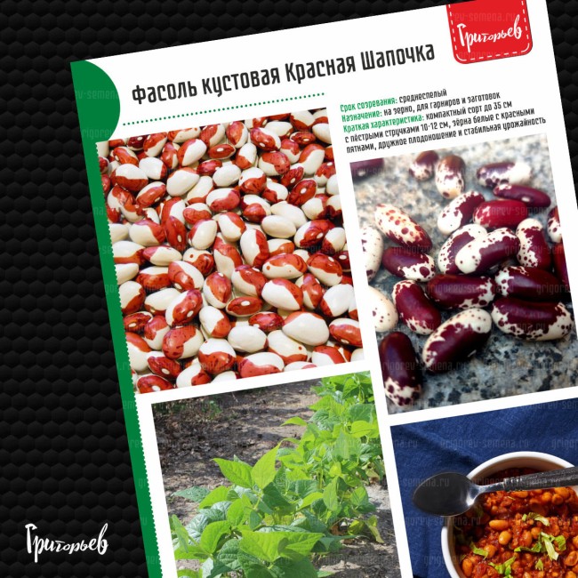 Фасоль Красная Шапочка кустовая