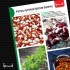 Фасоль Красная Шапочка кустовая