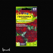 Гвоздика Леди в черном гренадин