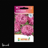 Астра БАШНЯ Вишнево-Розовая китайская