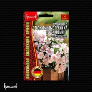 Катарантус Средиземноморский XP Персиковый F1