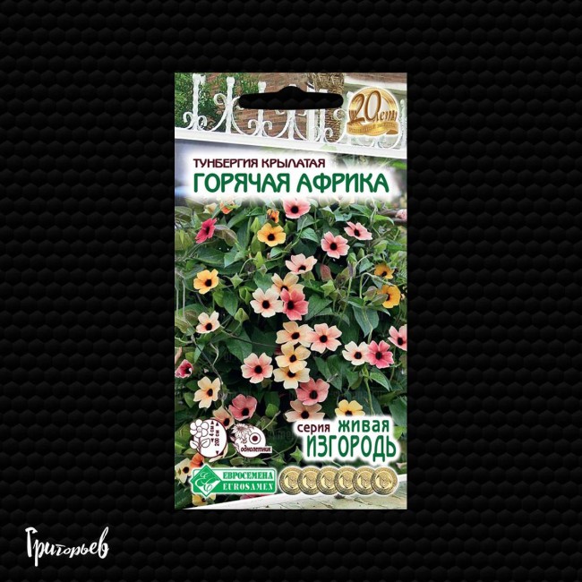 Тунбергия Горячая африка крылатая