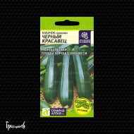 Кабачок Черный красавец цукини